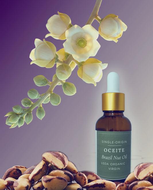 Brazil Nut Oil — Single-Origin South America, 1oz