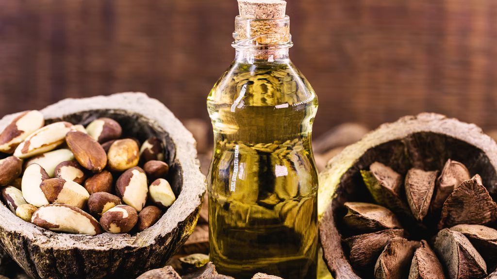 Brazil Nut Oil — Single-Origin South America, 1oz